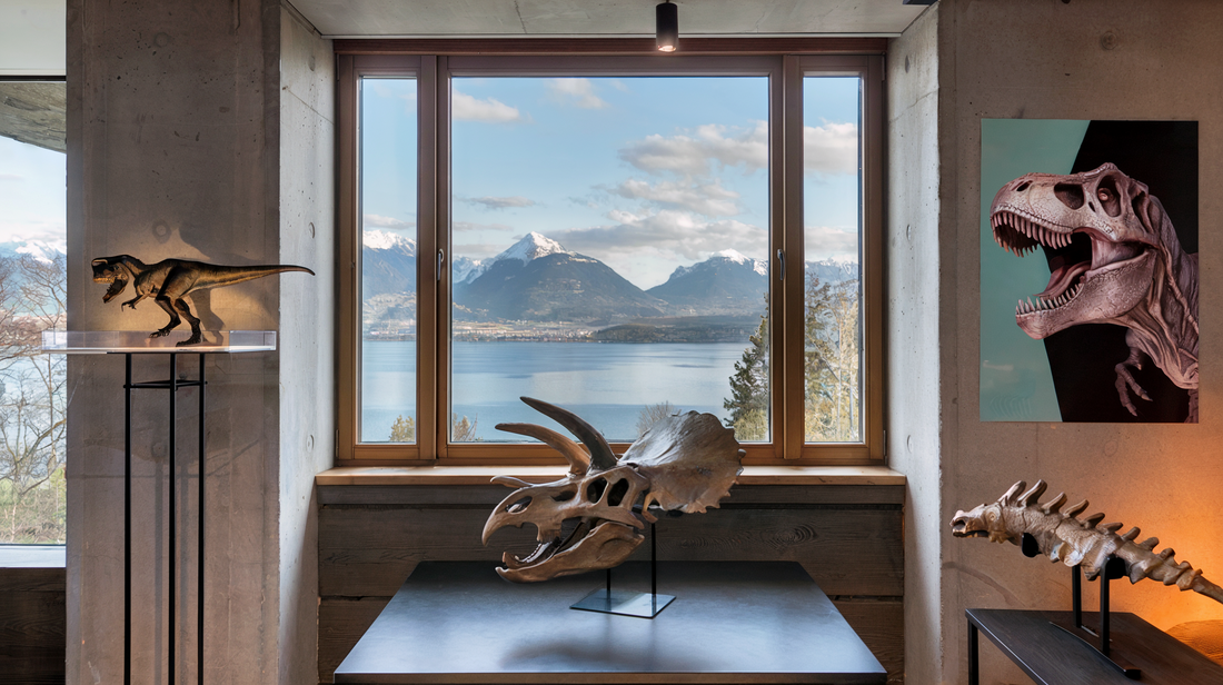 La Genèse de M-Dino : Une Passion Qui Prend Vie